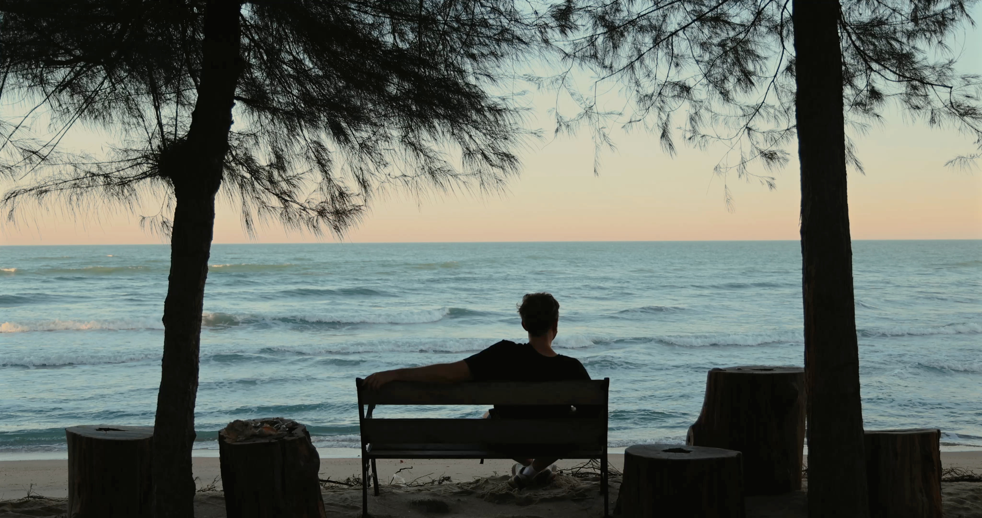 Man sitting on beach bench under trees facing ocean horizon during sunset