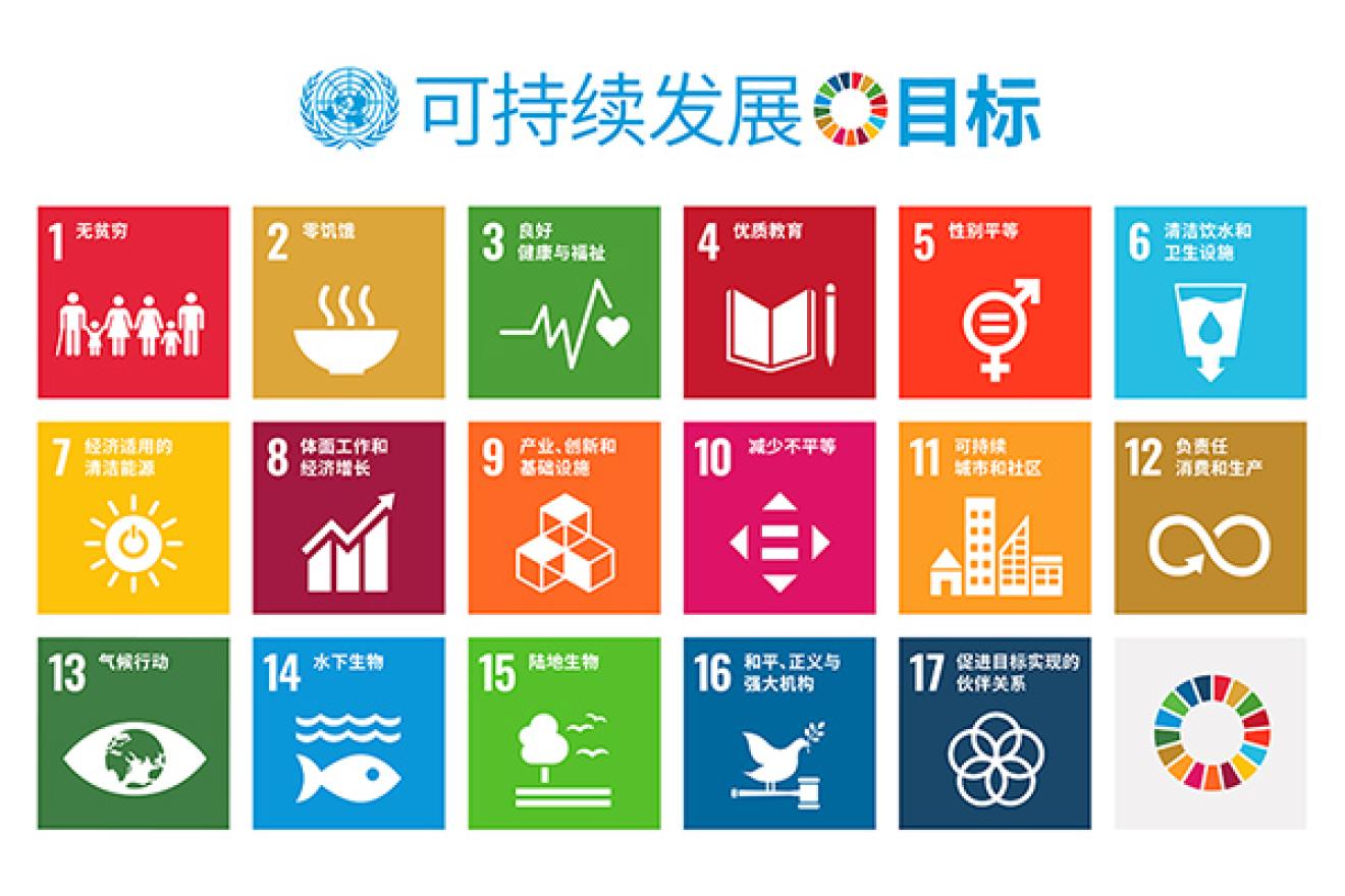 SDG 17 Goals