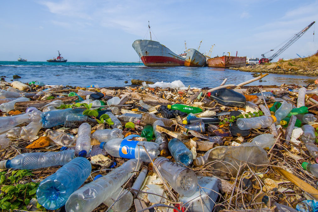 Plastic bottles and containers ashore on a water body.