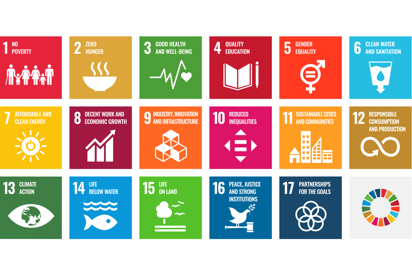 17 SDG goals