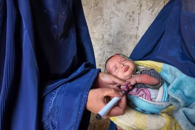 A baby receiving an injection.
